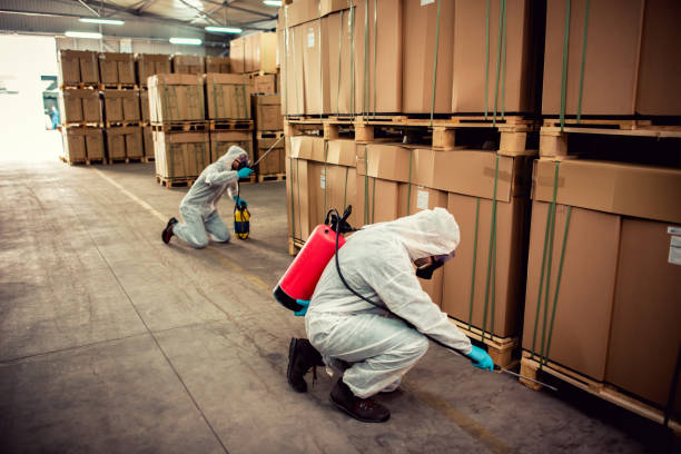 Best Wasp Removal Services  in New Providence, NJ