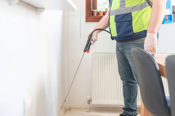 Best Rat Extermination Near Me  in New Providence, NJ