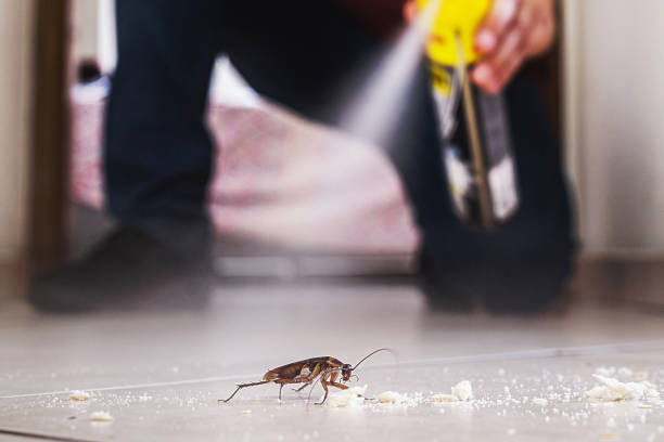 Best Spider Control Near Me  in New Providence, NJ